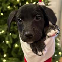 Thumbnail photo of Dina #2