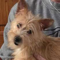 Thumbnail photo of Isabella #1