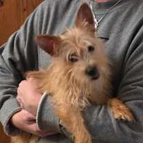 Thumbnail photo of Isabella #2