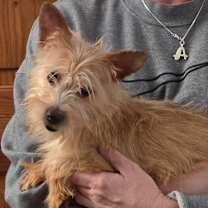 Thumbnail photo of Isabella #3