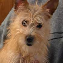 Thumbnail photo of Isabella #4