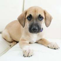 Thumbnail photo of Eartha #2