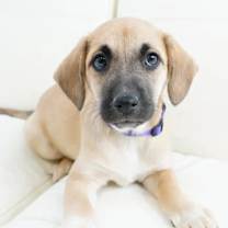 Thumbnail photo of Eartha #3