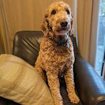 Thumbnail photo of Pete #1