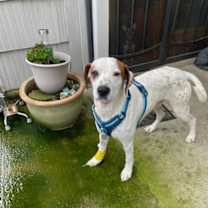 Thumbnail photo of Clayton #1