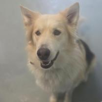 Thumbnail photo of Slate #2