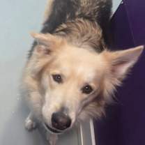 Thumbnail photo of Slate #3