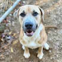 Thumbnail photo of Sandy #3