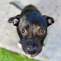 Thumbnail photo of Cisco #2