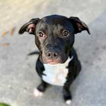 Thumbnail photo of Cisco #3