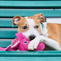 Thumbnail photo of Love #2