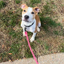 Thumbnail photo of Love #3