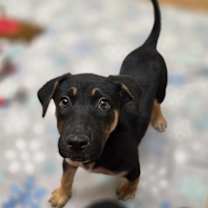 Thumbnail photo of Hope #1