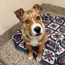 Thumbnail photo of Tyler Childers #2