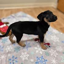 Thumbnail photo of Hope #2