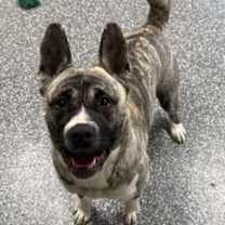 Thumbnail photo of Svetlana #1