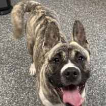 Thumbnail photo of Svetlana #2