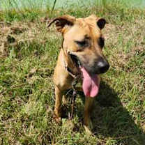 Thumbnail photo of Tula #2