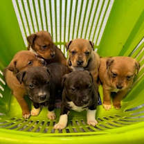 Thumbnail photo of #3 #2