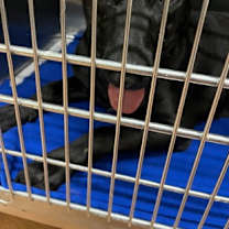 Thumbnail photo of MILO #1