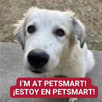 Thumbnail photo of Kortney #1