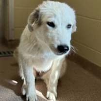 Thumbnail photo of Kortney #2