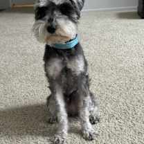 Thumbnail photo of Neo #1