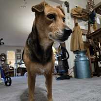 Thumbnail photo of Princess #2