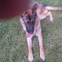 Thumbnail photo of Xavier #2