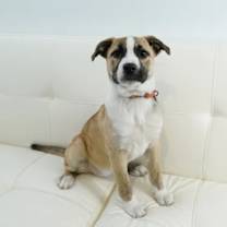 Thumbnail photo of Mayla #1