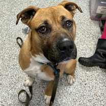 Thumbnail photo of Morty #2