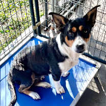 Thumbnail photo of Boots #3