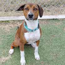 Thumbnail photo of Nyla #1