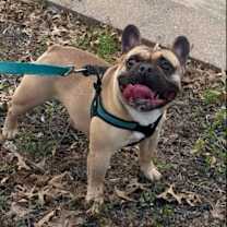 Thumbnail photo of Bruce #4