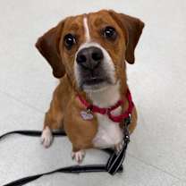 Thumbnail photo of Peanut Butter #3