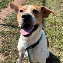 Thumbnail photo of Nico #2