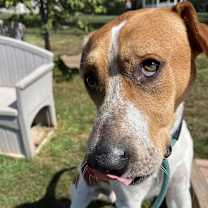 Thumbnail photo of Nico #3