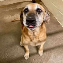 Thumbnail photo of Stanley  #2