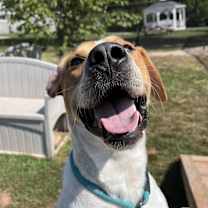 Thumbnail photo of Nico #4