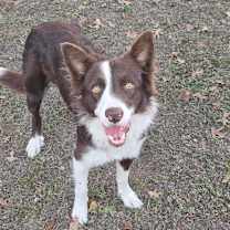 Thumbnail photo of Luke #1