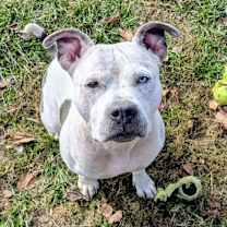 Thumbnail photo of Miss Molly #4