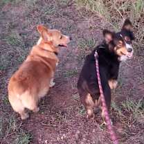 Thumbnail photo of Jake #2