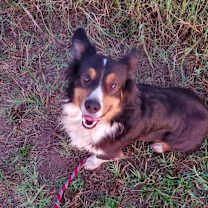 Thumbnail photo of Jake #4