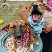 Thumbnail photo of Pac #3