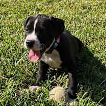 Thumbnail photo of Truffle Autumn Vibe #1