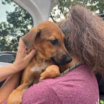 Thumbnail photo of Ricky Russell #1