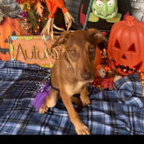 Thumbnail photo of Lucy Russell #3