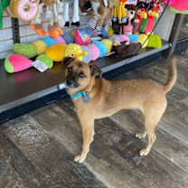 Thumbnail photo of Princess Peaches #2