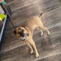 Thumbnail photo of Princess Peaches #4