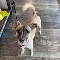 Thumbnail photo of Princess Sunshine #1